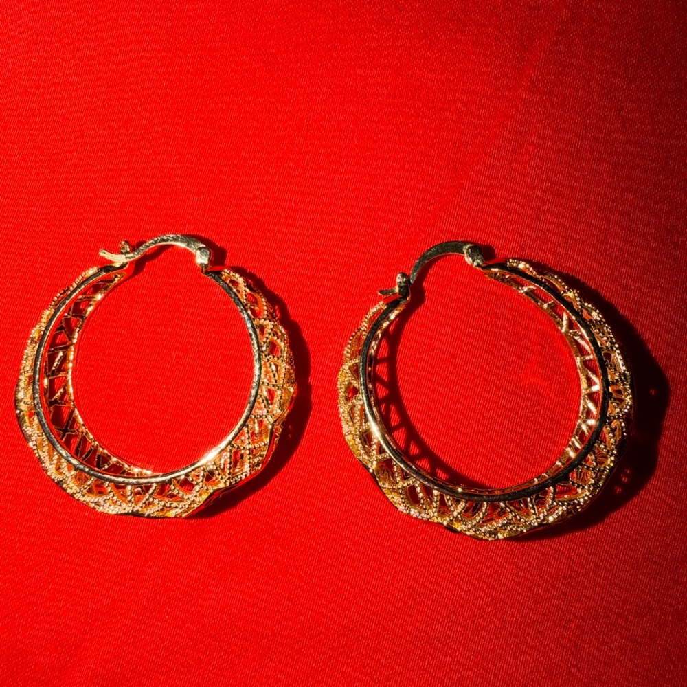 Elegant Gold Hoop Earrings